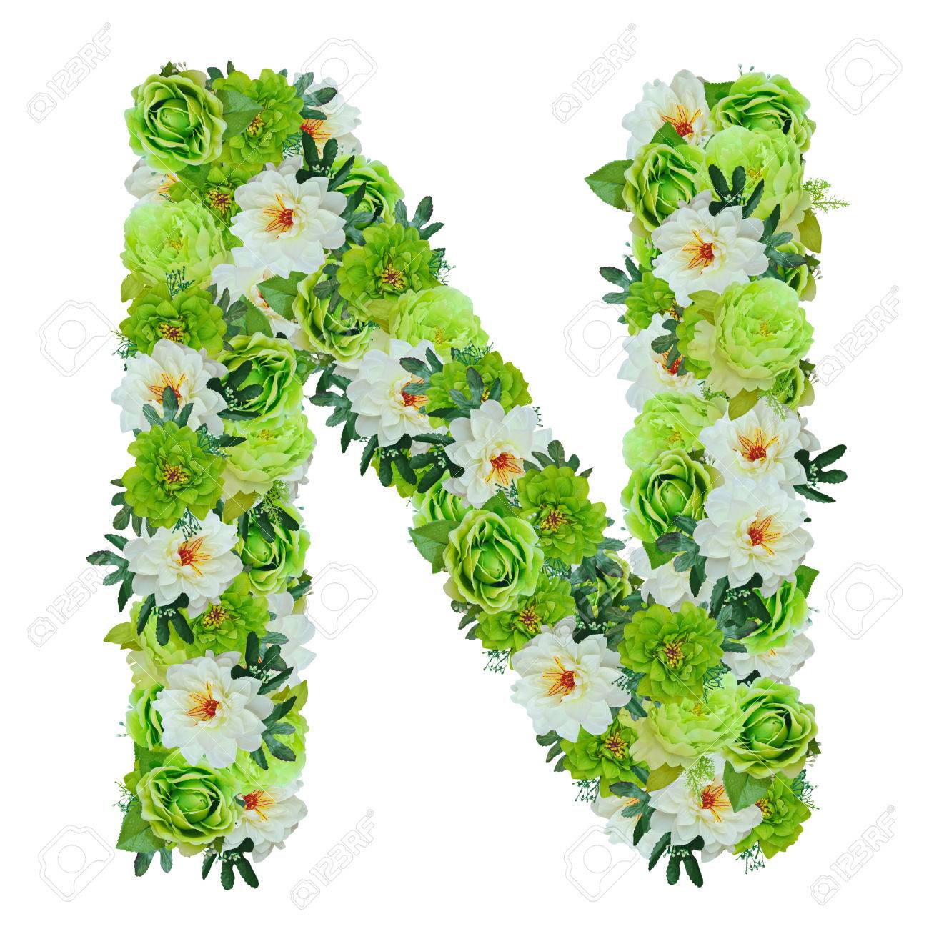 Letter N from green and white flowers isolated on white with working path - 82156231 Letter N from green and white flowers isolated on white with working path - 82156231