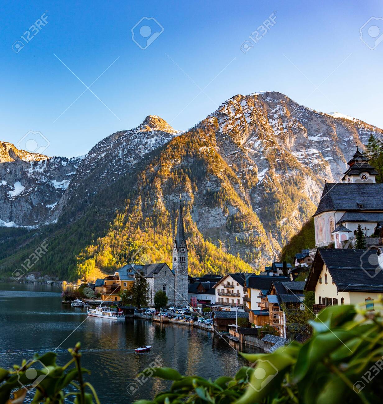 etiam-dictum-ipsum-a-felis