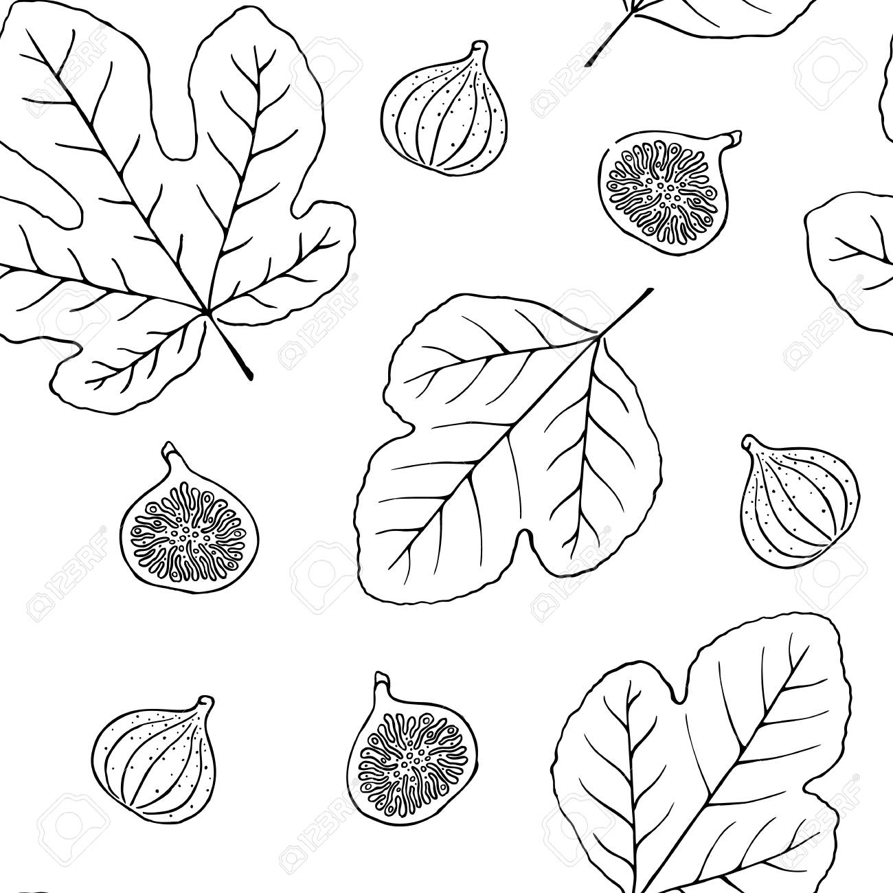 手描きベクトル黒と白のアウトラインイチジクシームレスパターンのイラスト素材 ベクタ Image 93814045