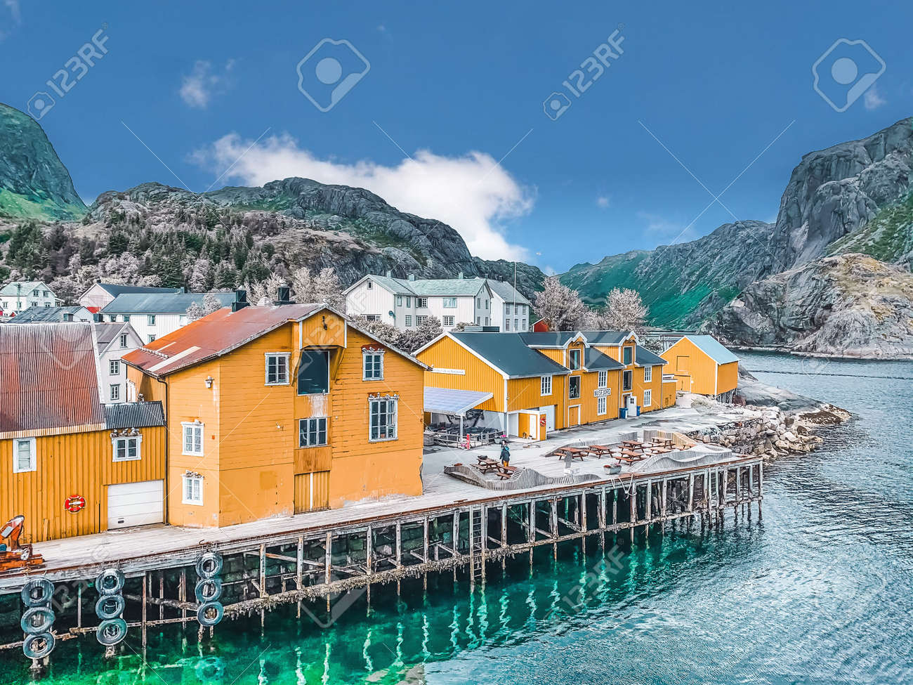 etiam-dictum-ipsum-a-felis