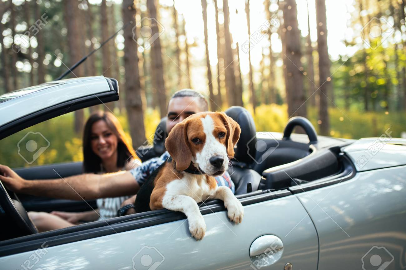 犬と車でアウトドアを楽しんでいるカップル 犬はフォーカスです の写真素材 画像素材 Image