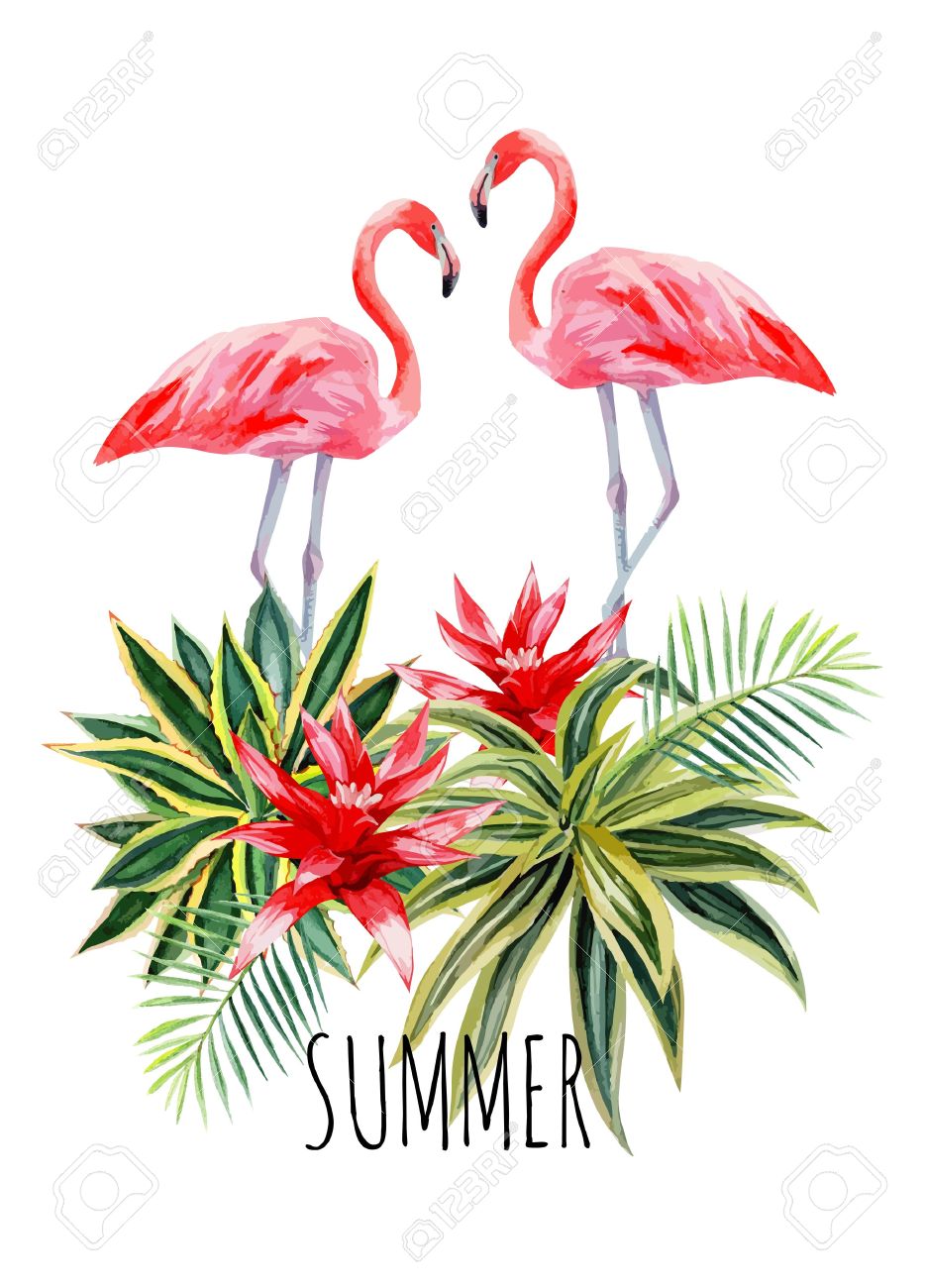 ヤシの葉と植物花リュウゼツランの手描き水彩エキゾチックな熱帯鳥ピンク フラミンゴ スローガン夏とトレンディな花ベクター イラスト ポスターを印刷します のイラスト素材 ベクタ Image
