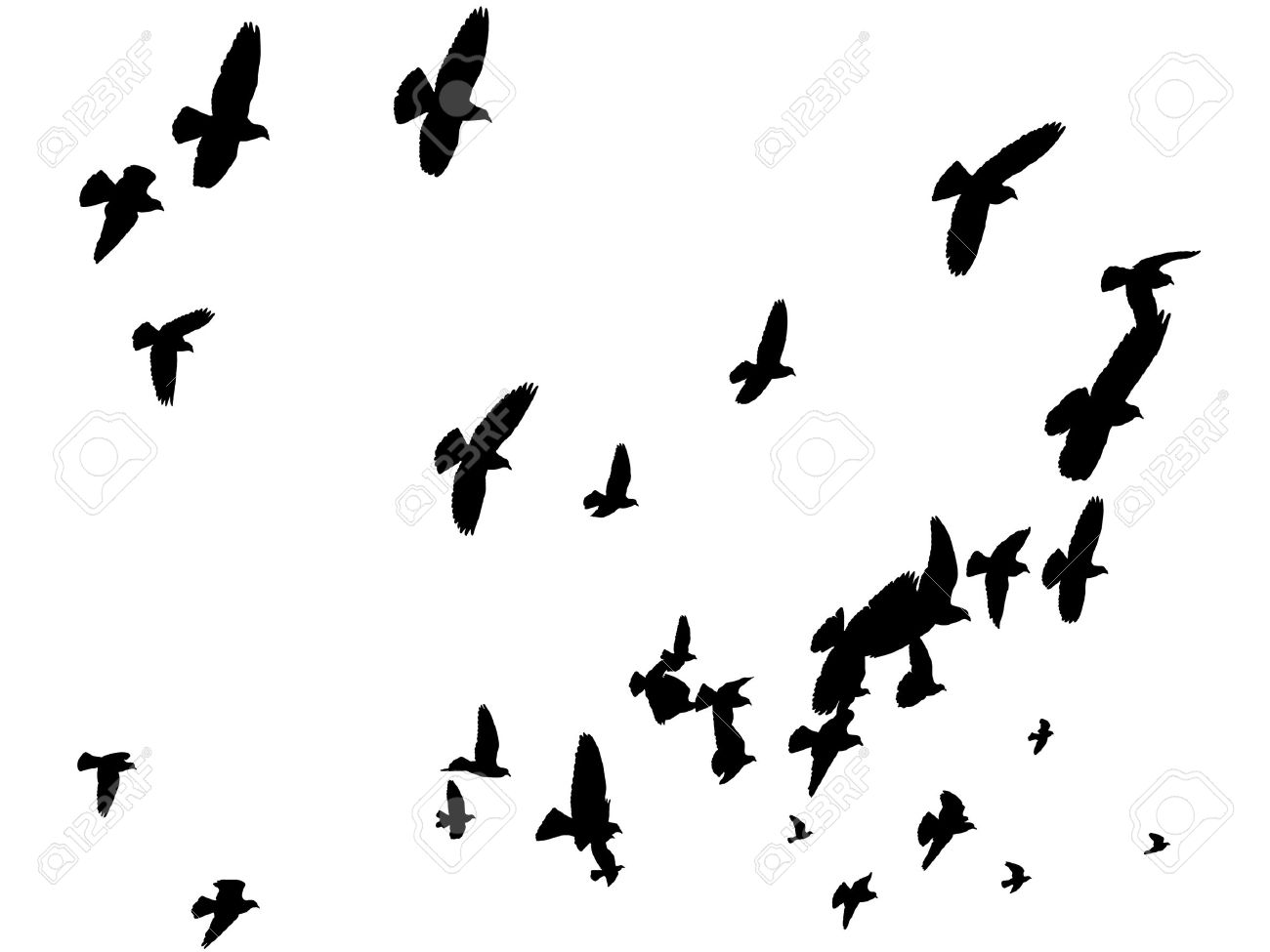 When do birds fly away When do birds fly away