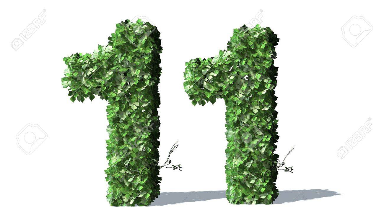 Number 11 Alphabet Of Green Ivy Leaves Stock Photo, Picture and Royalty  Free Image. Image 40056307.