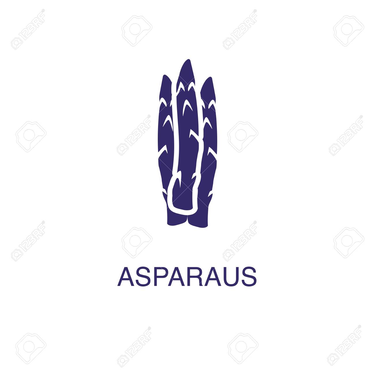 Asparagus element in flat simple style on white background. Asparagus icon, with text name concept template - 134450345 Asparagus element in flat simple style on white background. Asparagus icon, with text name concept template - 134450345