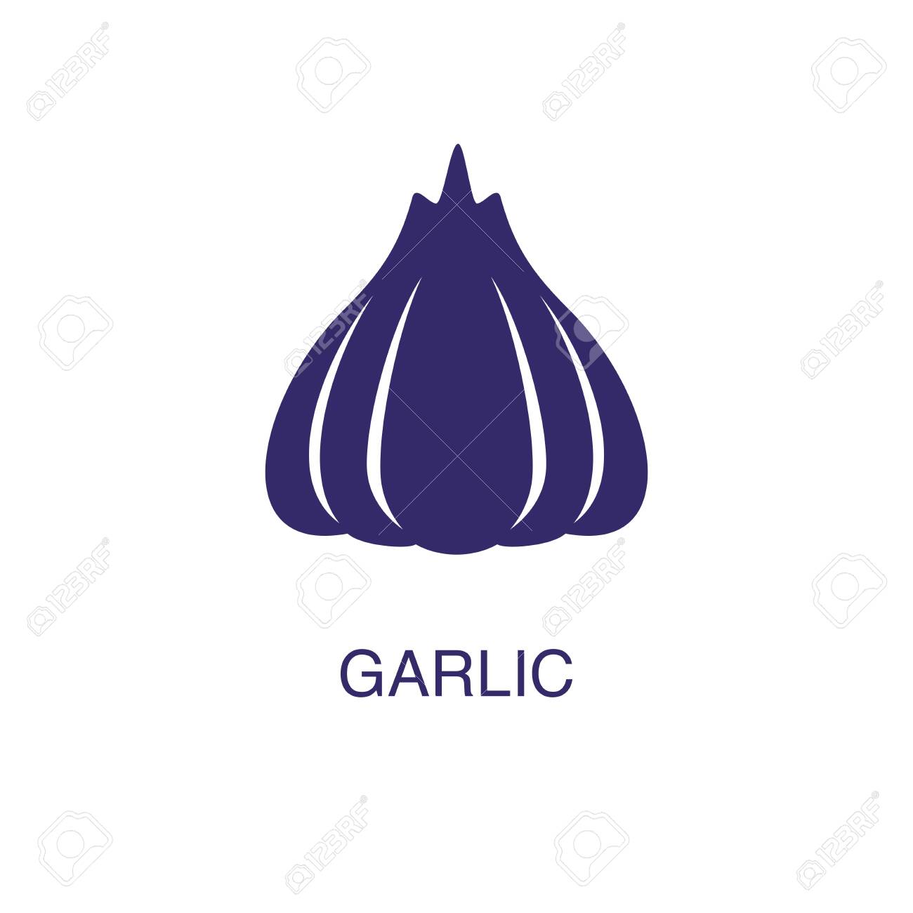 Garlic element in flat simple style on white background. Garlic icon, with text name concept template - 134450456 Garlic element in flat simple style on white background. Garlic icon, with text name concept template - 134450456
