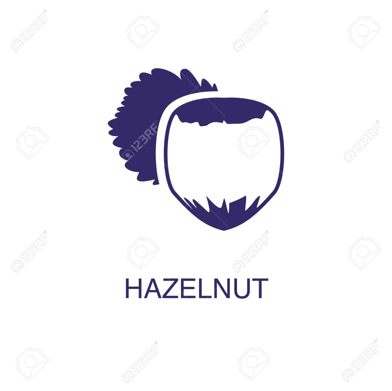 Hazelnut element in flat simple style on white background. Hazelnut icon, with text name concept template - 134450496 Hazelnut element in flat simple style on white background. Hazelnut icon, with text name concept template - 134450496