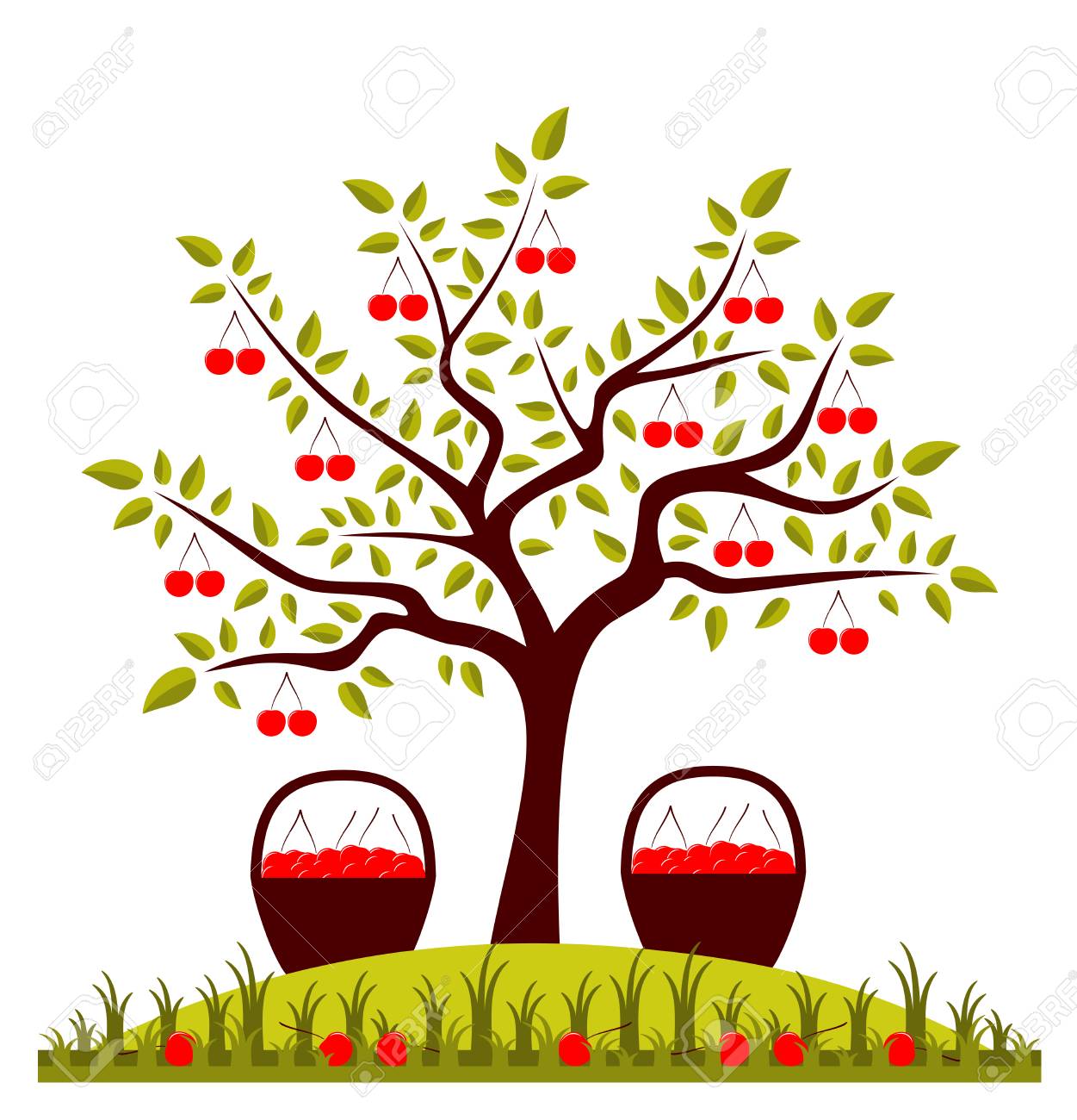 桜とさくらんぼのバスケットをベクトルします のイラスト素材 ベクタ Image