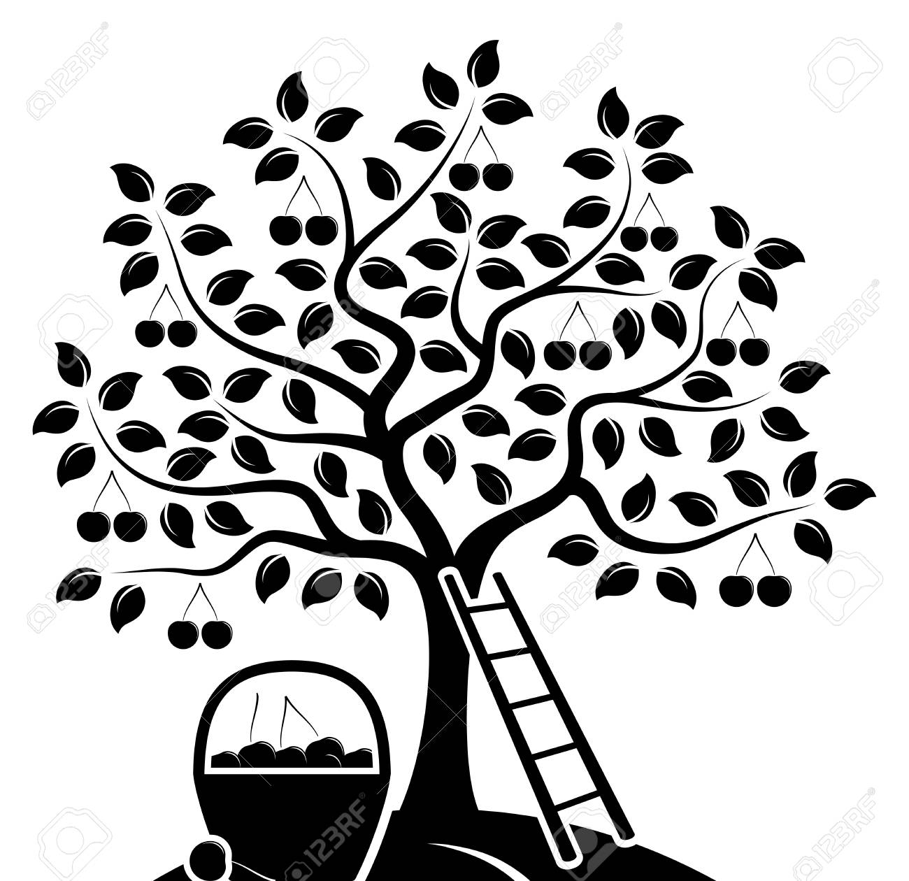 ベクトルの桜の木 はしご 白い背景で隔離さくらんぼのかご のイラスト素材 ベクタ Image