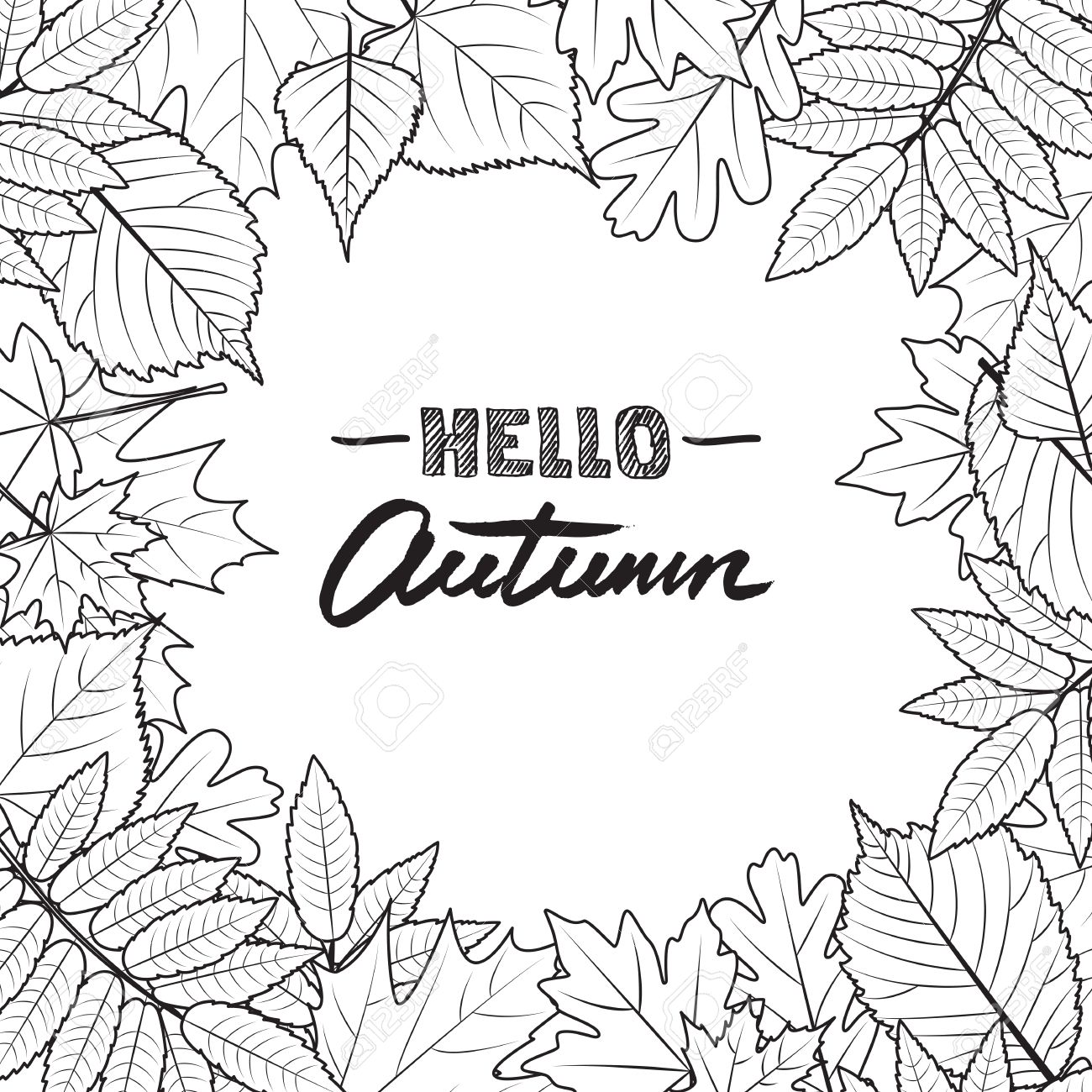 Vector Quadratischen Rahmen Mit Hand Gezeichnet Herbst Blatter Schwarz Weiss Hintergrund Fallen Design Konzept Fur Banner Einladungskarte Poster Lizenzfrei Nutzbare Vektorgrafiken Clip Arts Illustrationen Image