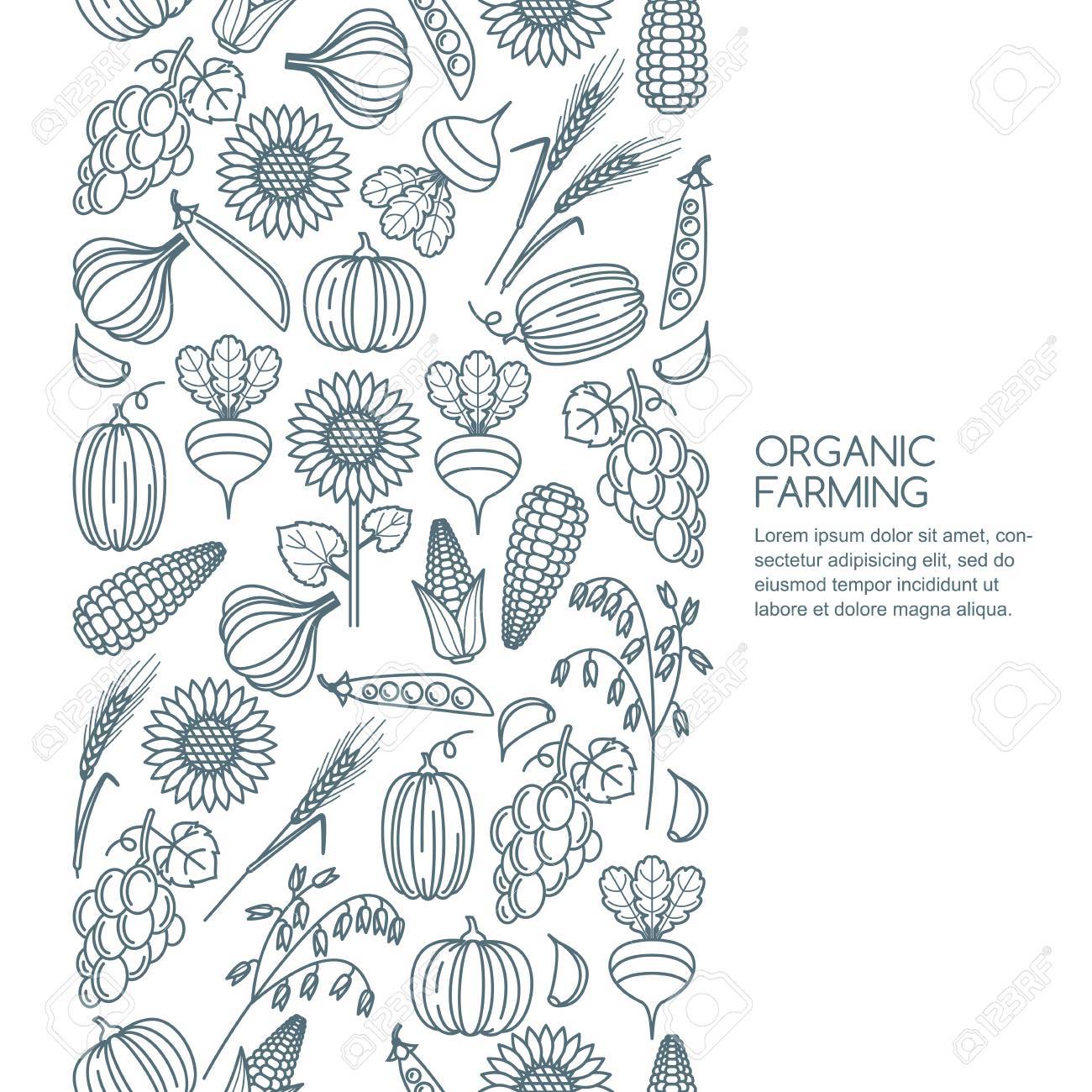 概要野菜と穀物穀物のアイコン ベクトルのシームレスな背景 秋の収穫のラインのイラスト 農業 収穫 庭園 農場および農業有機製品の要素をデザインします の イラスト素材 ベクタ Image