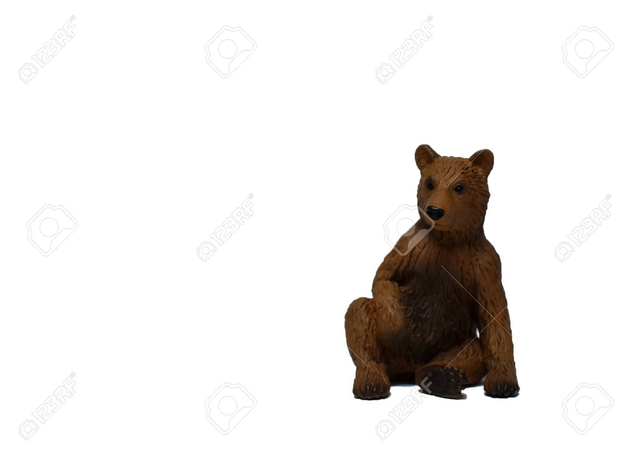 白い背景に耐えます ヒグマは 白い背景で隔離 座っているクマの画像 の写真素材 画像素材 Image