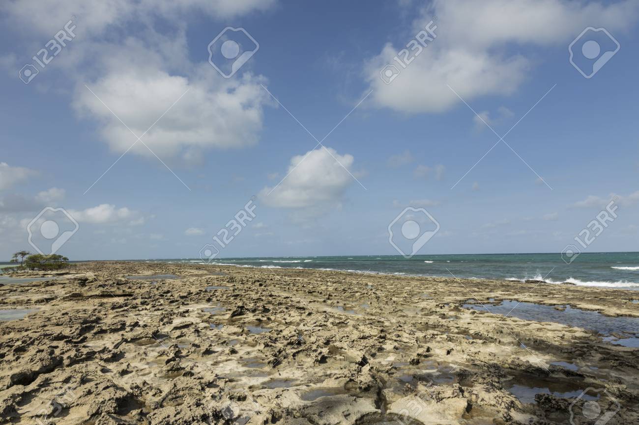 Plage Carneiros à Porto De Galinhas Recife Pernambuco Brésil