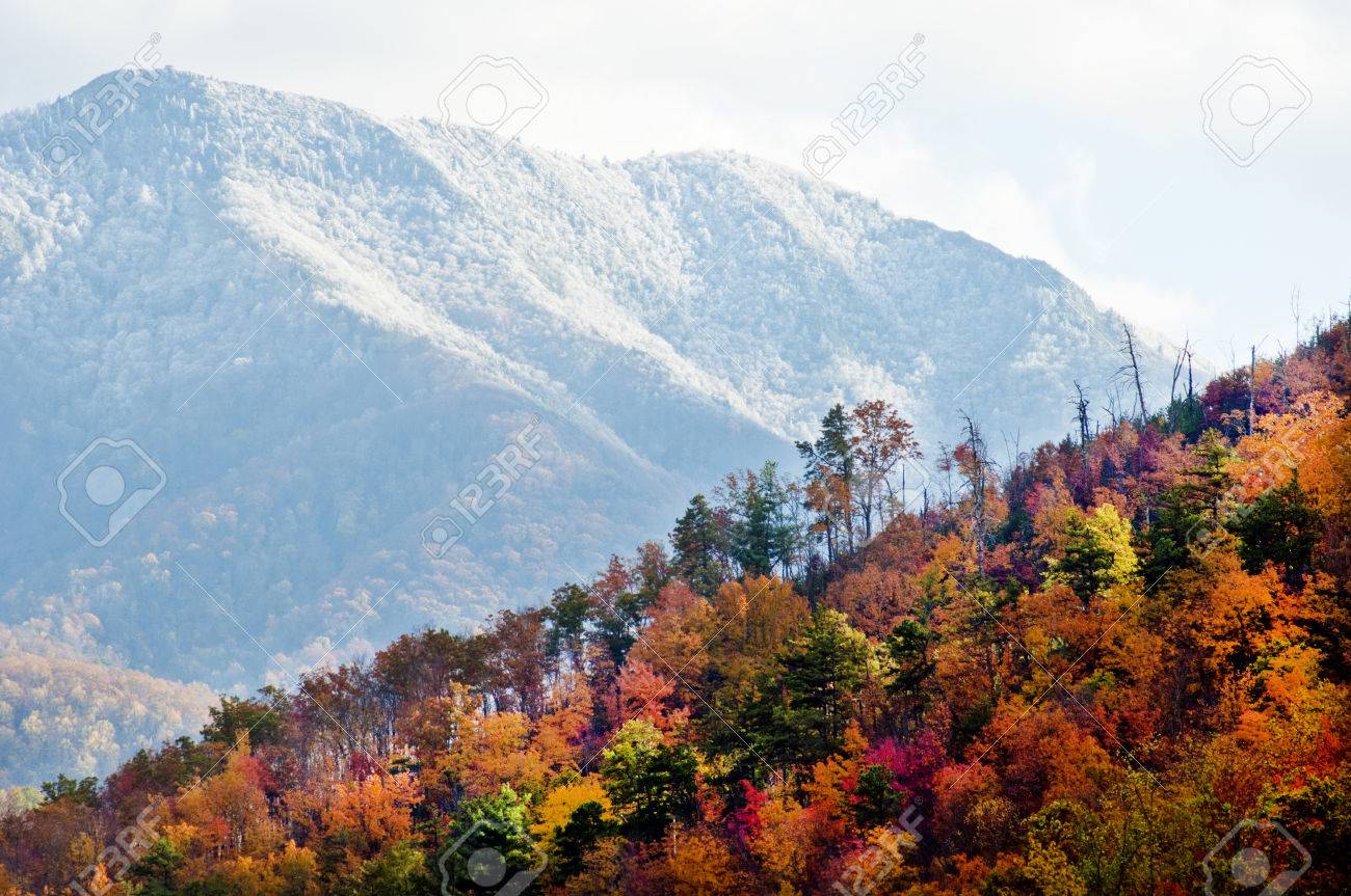 秋から冬へ季節の移り変わり の写真素材 画像素材 Image