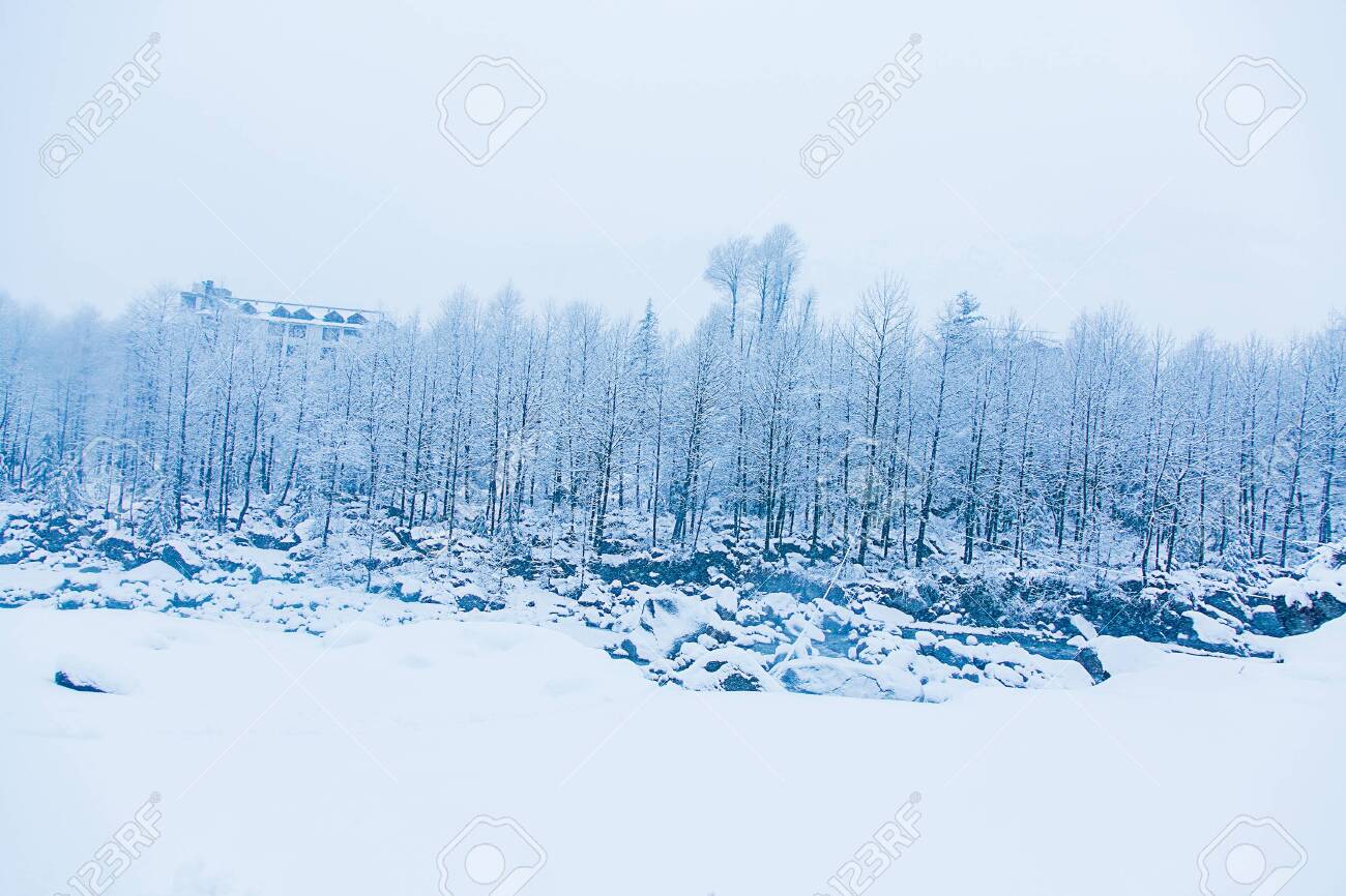 Beautiful winter landscape with forest , trees and rive covered with white snow, snowfall in Himalayan mountains - Image - 153608782 Beautiful winter landscape with forest , trees and rive covered with white snow, snowfall in Himalayan mountains - Image - 153608782