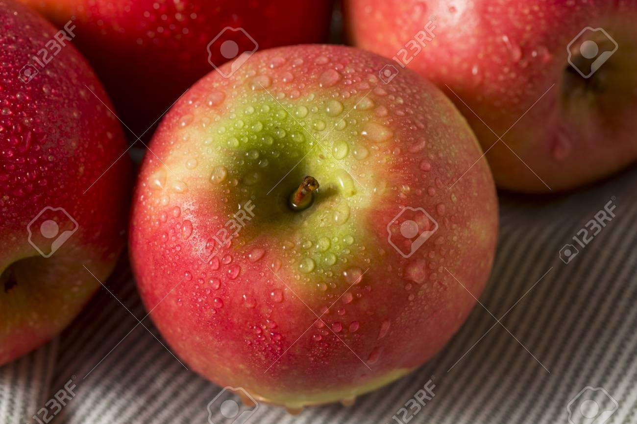 生レッドオーガニックピンクレディリンゴ食べる準備ができて の写真素材 画像素材 Image