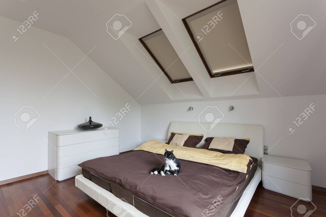 現代的な寝室のベッドの上に座っている黒と白の猫と の写真素材 画像素材 Image