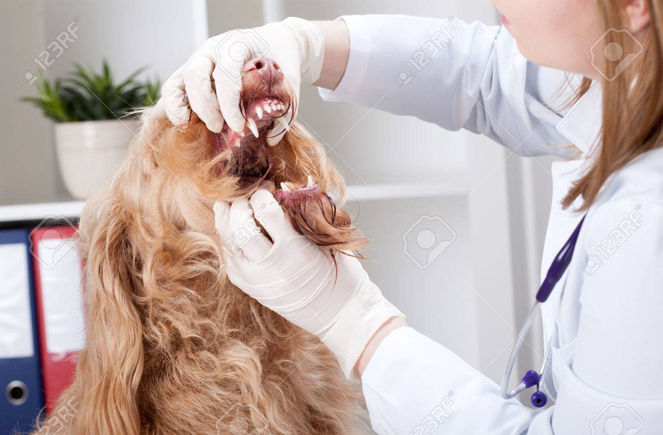 examen par la bouche examen par la bouche
