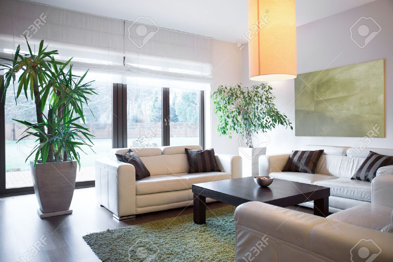 horizontal view of living space inside house stock photo picture