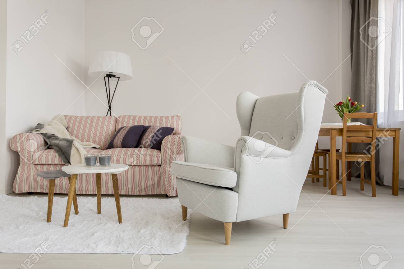 Fauteuil Salon Confortable