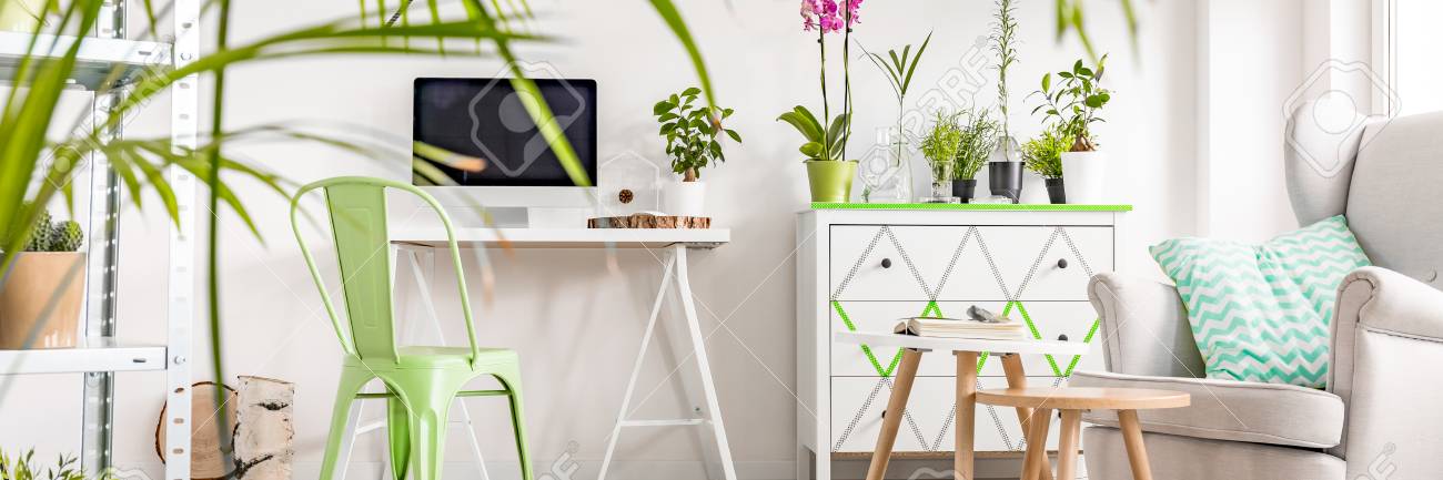 Part Of A Room Full Plants With Armchair Desk And Chest