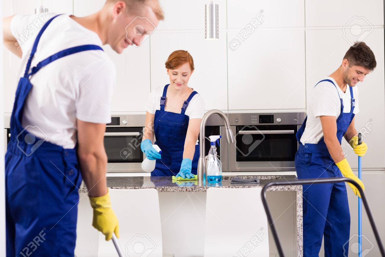 professional house cleaner