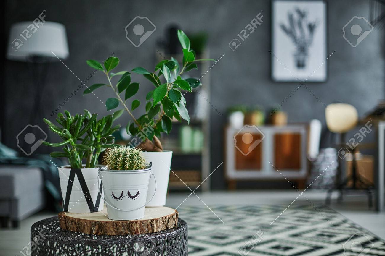 金属製のテーブル上に立っている鍋で装飾的なグリーン観葉植物 の写真素材 画像素材 Image