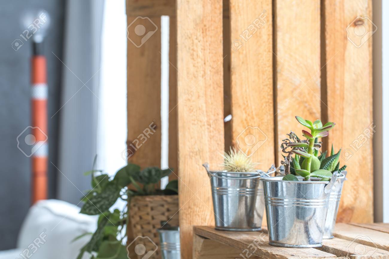 Diy エコ スタイリッシュなパレット棚の金属製植木鉢の植物 の写真素材 画像素材 Image