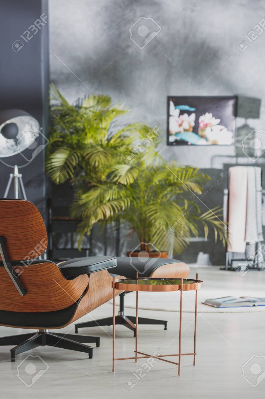 クラシックデザイン アームチェア 緑とベージュのストライプ クラシックデザイン アームチェア 緑とベージュのストライプDSQUARED2