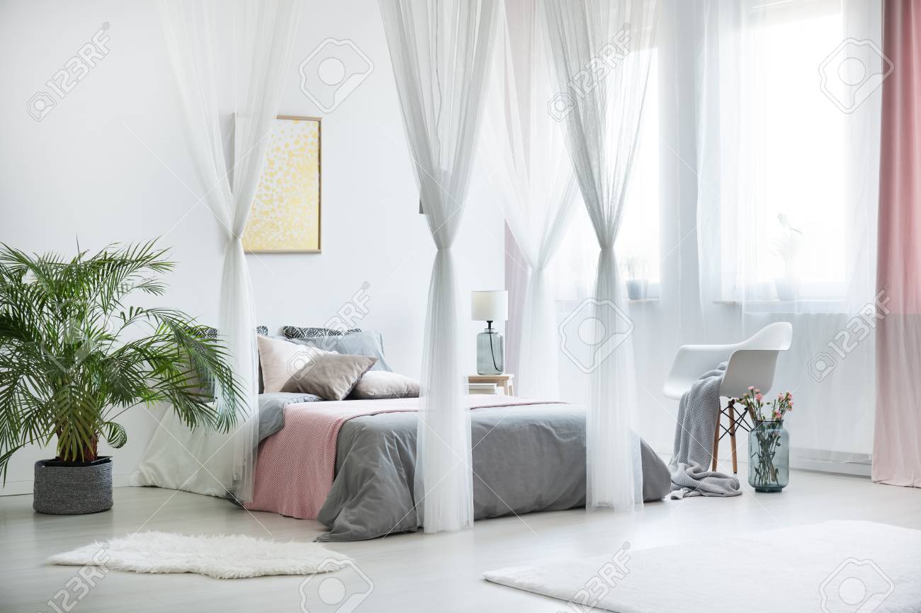 Plant Next To King-size Bed With Canopy In Sophisticated Bedroom - Plant Next To King-size Bed With Canopy In Sophisticated Bedroom