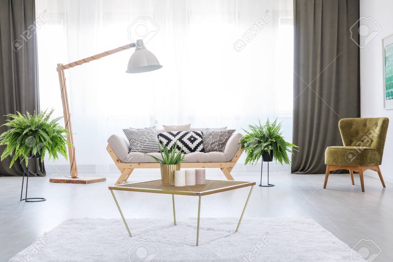 植物やモダンな家具で飾られたエレガントなアパートの白のインテリア の写真素材 画像素材 Image
