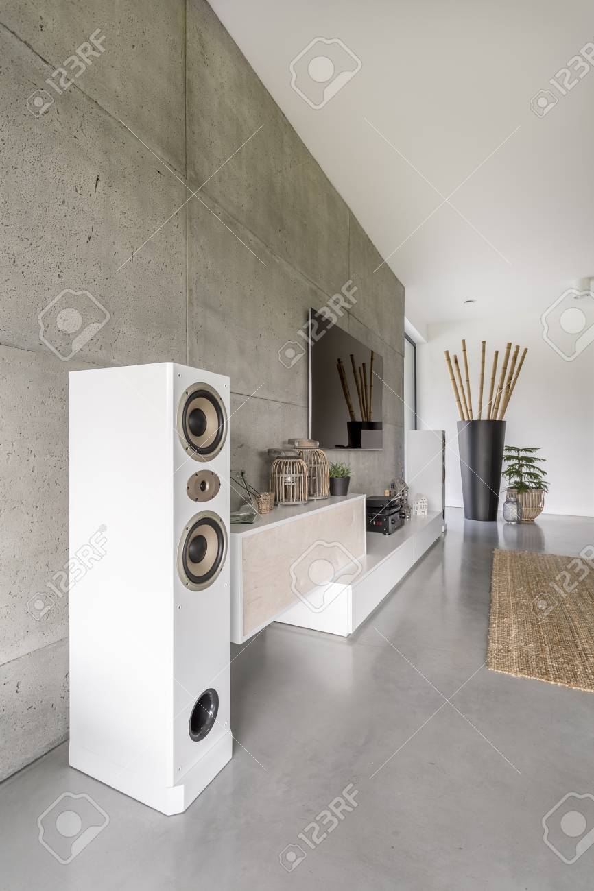 Loudspeaker Television And Huge Vase With Bamboo Sticks In Rustic