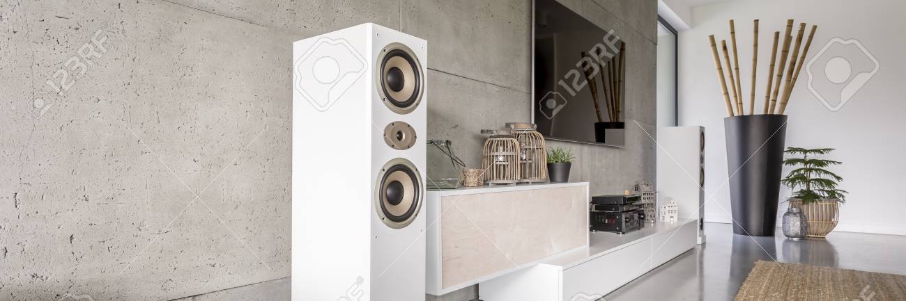 White Loudspeaker In Modern Living Room With Huge Black Vase