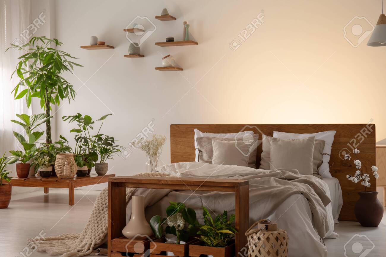 Plants In A Modern Bedroom Interior With A Comfy Bed Decorated