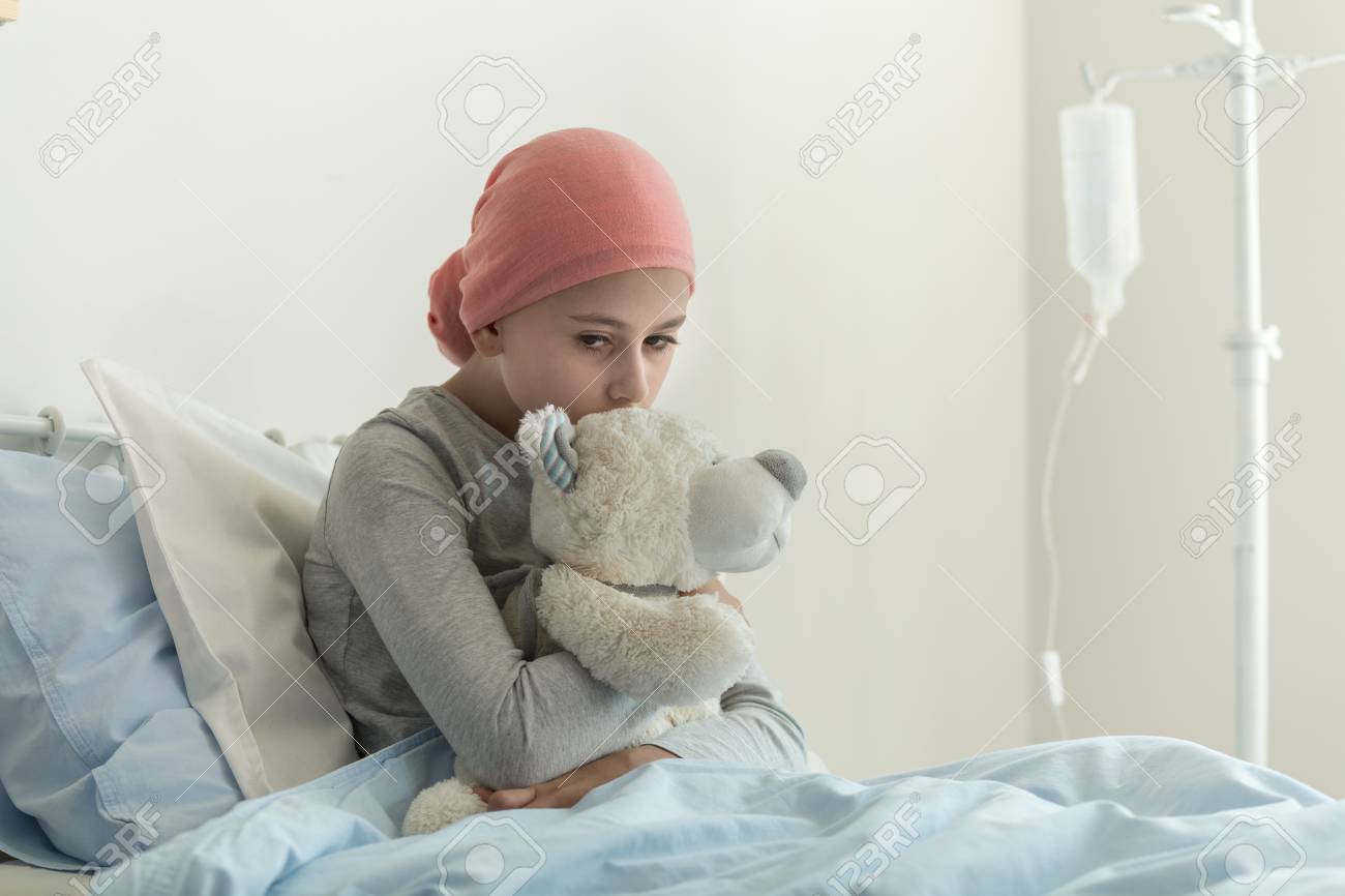 next teddy bear