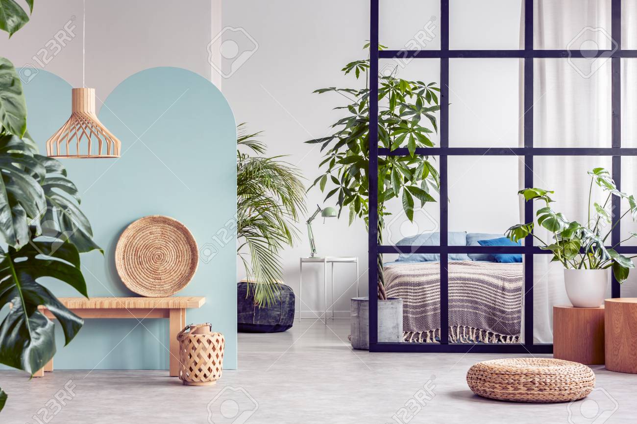 Urban jungle in open plan trendy apartment interior with mullions wall - 118420711 Urban jungle in open plan trendy apartment interior with mullions wall - 118420711