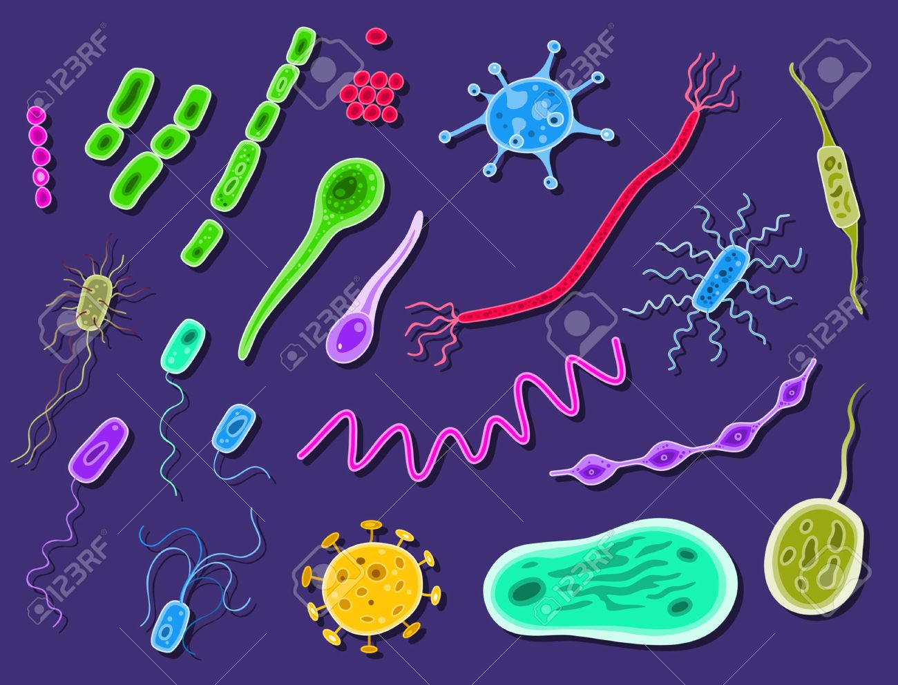 Создать бактерию. Микробы и бактерии. Бактериальная клетка из пластилина. Создать бактерию. Модель бактериальной клетки 5 класс биология из пластилина.