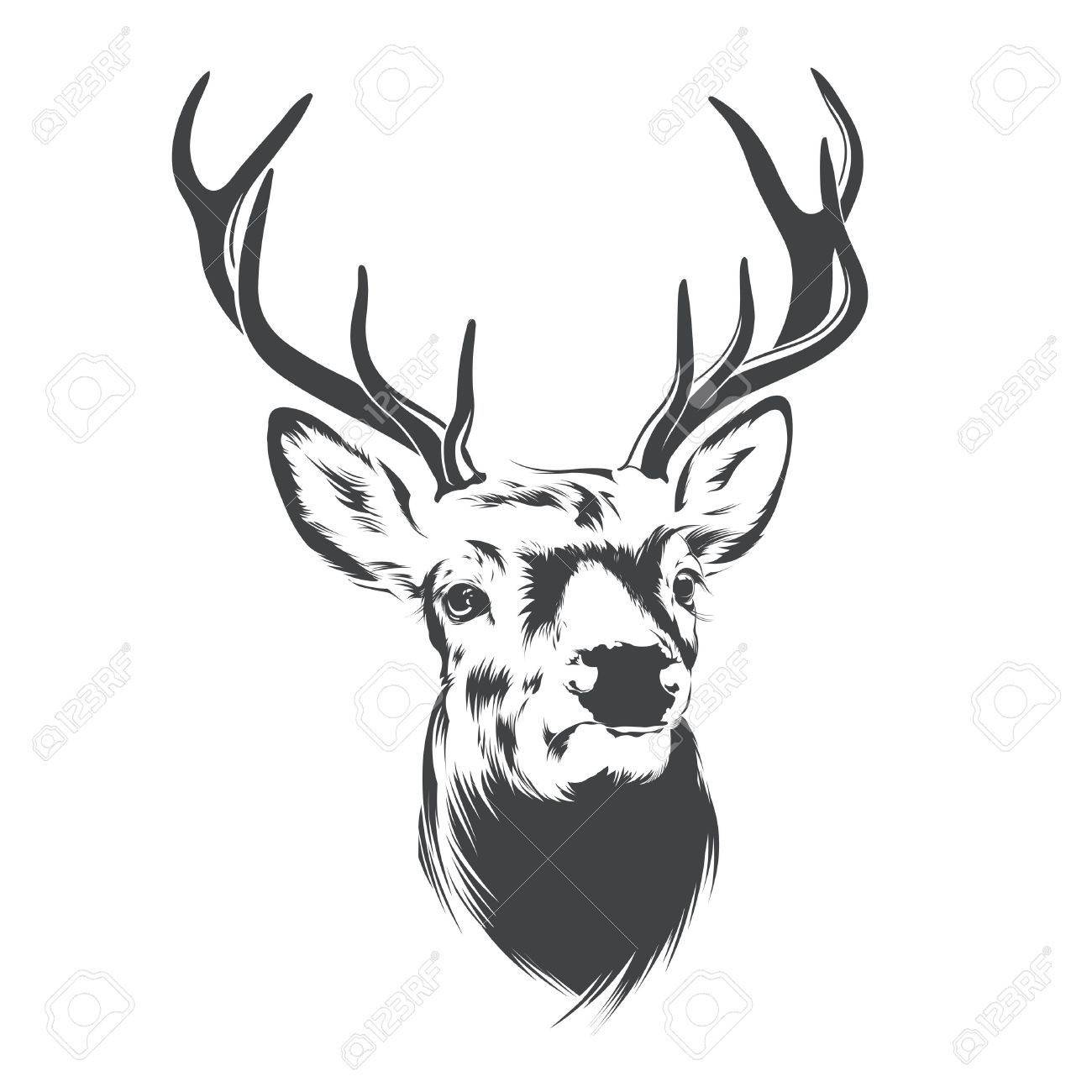 Deer Head On White Background Royalty Free Cliparts Vectors And Stock Illustration Image 39537566