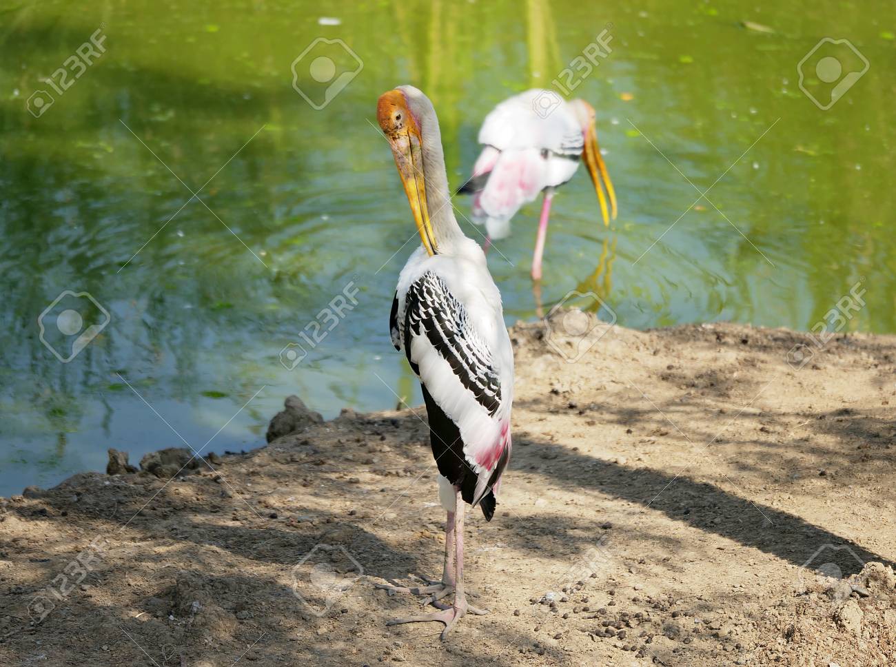 etiam-dictum-ipsum-a-felis