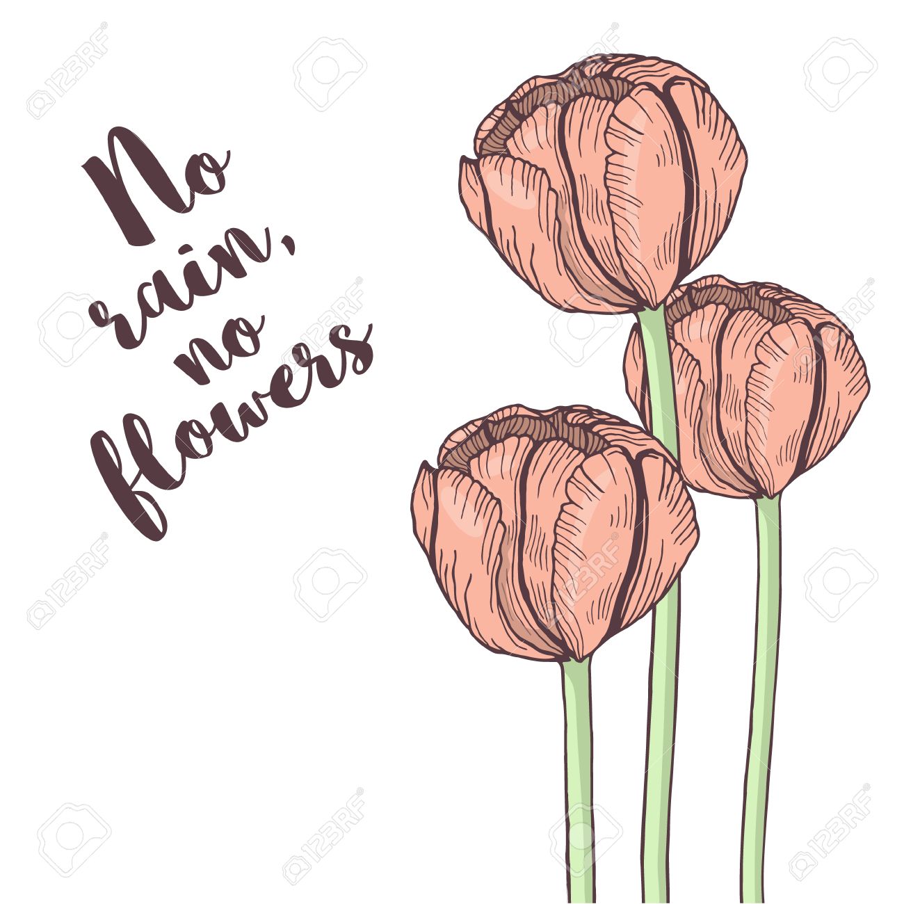 Handdrawn Carte De Tulipe Isole Sur Fond Blanc Citation Inspiree Pas De Pluie Pas De Fleurs Couleurs Pastel Tendres Vector Illustration Clip Art Libres De Droits Vecteurs Et Illustration Image Handdrawn Carte De Tulipe Isole Sur Fond Blanc Citation Inspiree Pas De Pluie Pas De Fleurs Couleurs Pastel Tendres Vector Illustration Clip Art Libres De Droits Vecteurs Et Illustration Image