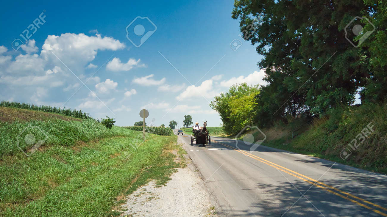 An Amish Couple in a Open Horse and Buggy on a Sunny Day - 165196580 An Amish Couple in a Open Horse and Buggy on a Sunny Day - 165196580