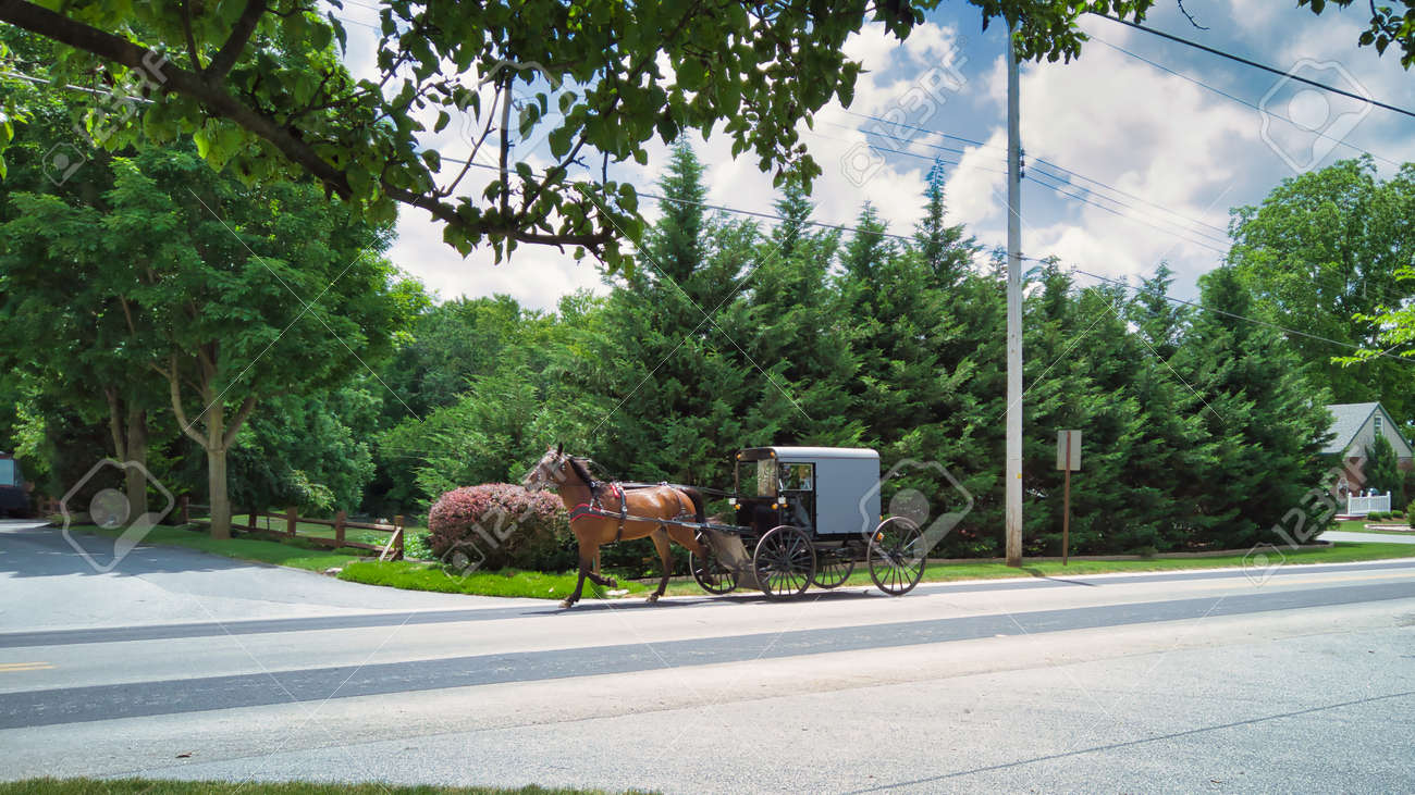 View of an Amish Horse and Buggy Trotting Down a Country Road - 165197989 View of an Amish Horse and Buggy Trotting Down a Country Road - 165197989