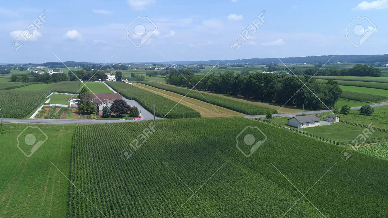 Aerial View of Green Farmlands With Different Crops Growing in the Fields on a Sunny Day - 165159434 Aerial View of Green Farmlands With Different Crops Growing in the Fields on a Sunny Day - 165159434