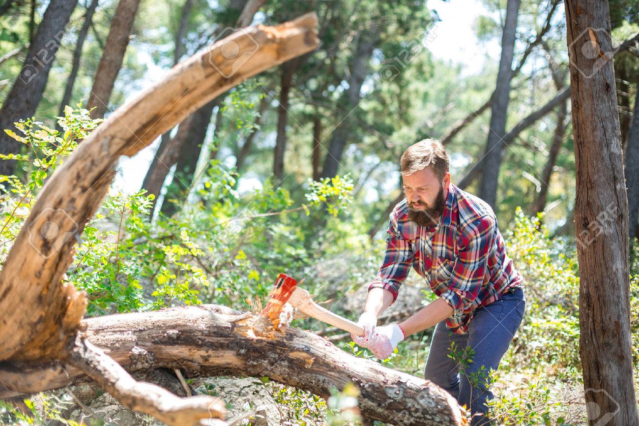 Portrait Of An Attractive Young Lumberjack Who Chopping Wood With An Ax  Stock Photo, Picture and Royalty Free Image. Image 40219671.