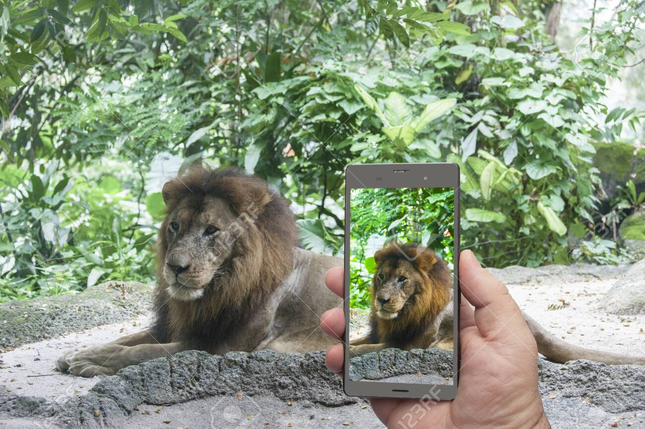 etiam-dictum-ipsum-a-felis