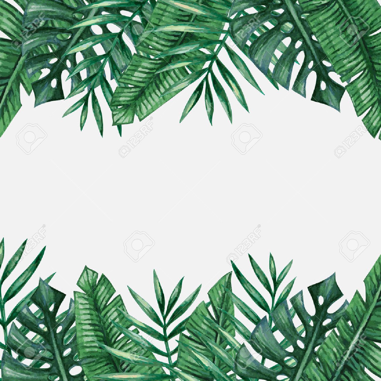 palm-tree-leaves-background-template-tropical-greeting-card-royalty-free-svg-cliparts-vectors-and-stock-illustration-image-55951769