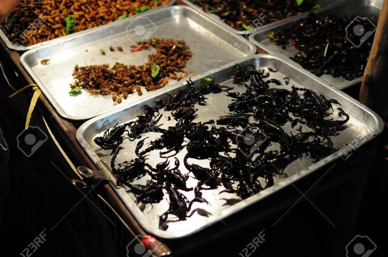 デザート ローカスト ゴキブリ昆虫の揚げバッグ の写真素材 画像素材 Image