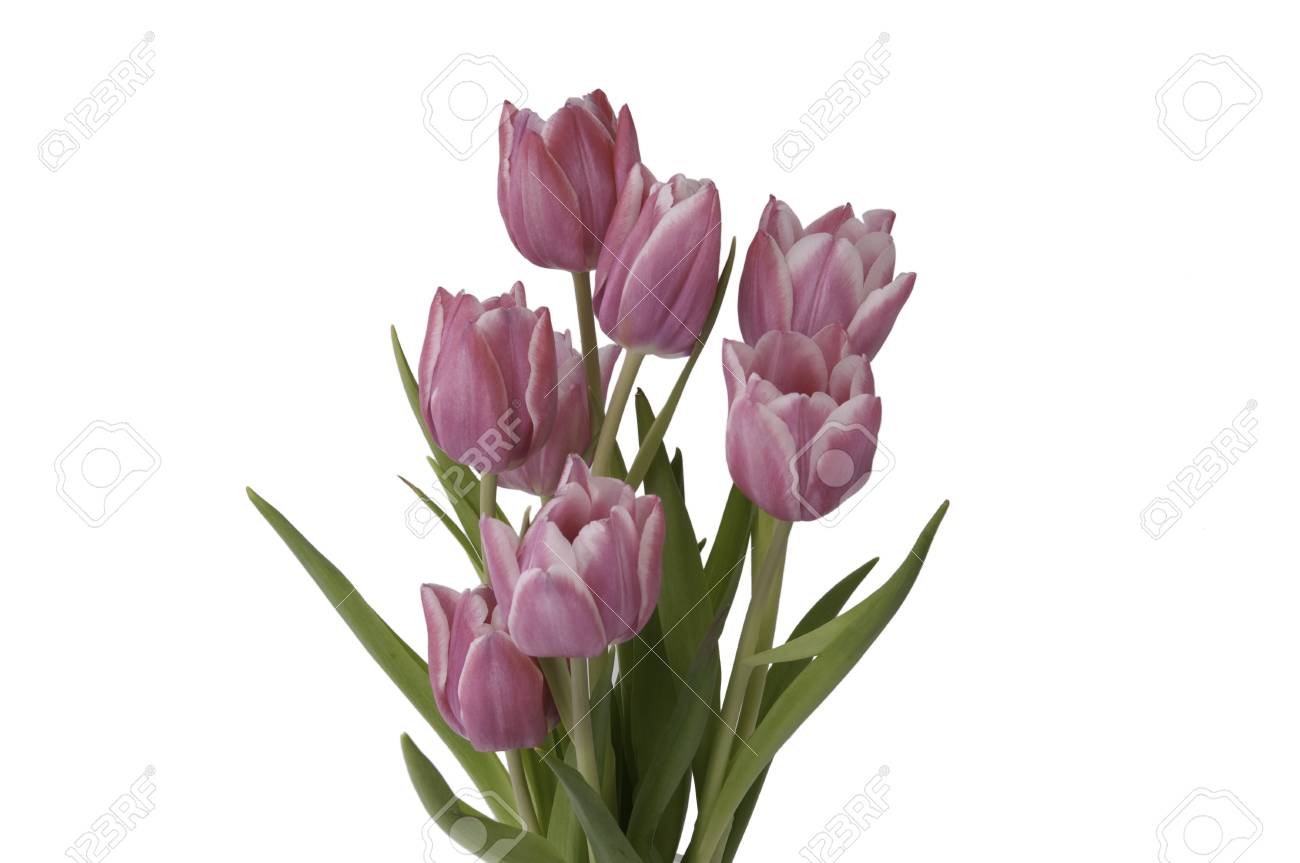zoom on a bunch