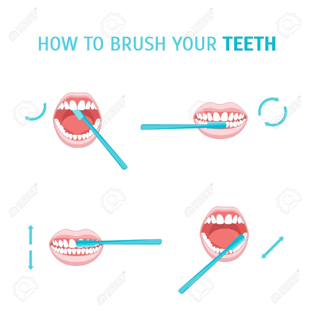 How To Brush Your Teeth. Brushing Tooth. Poster with the Instruction Manual. Order Correct Movements. Vector illustration - 64155665 How To Brush Your Teeth. Brushing Tooth. Poster with the Instruction Manual. Order Correct Movements. Vector illustration - 64155665
