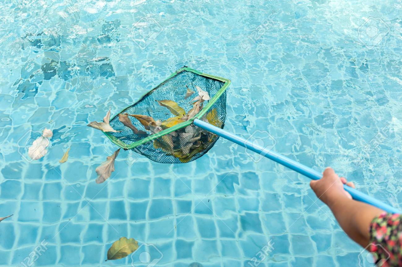 Cleaning swimming pool of fall leaves with cleaning net in the morning - 67016191 Cleaning swimming pool of fall leaves with cleaning net in the morning - 67016191
